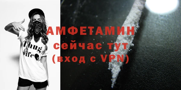 метадон Гусь-Хрустальный