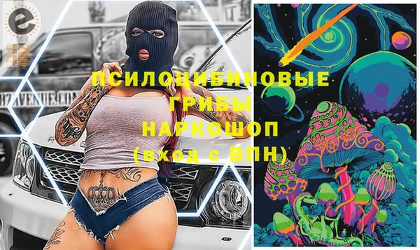 метадон Гусь-Хрустальный