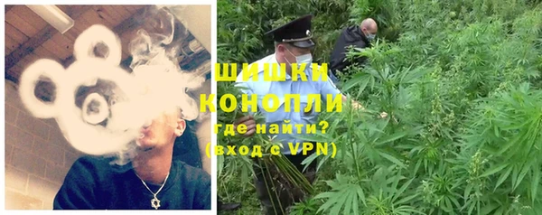 ECSTASY Гусев