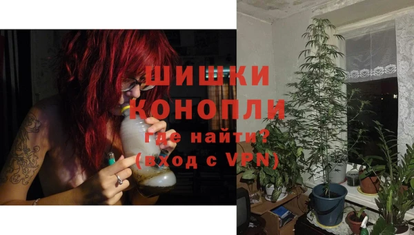 метадон Гусь-Хрустальный