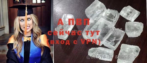 ECSTASY Гусев