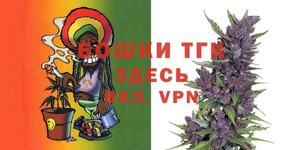 ECSTASY Гусев