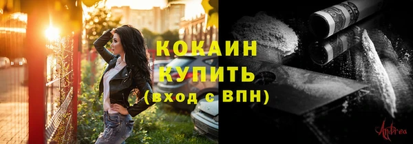 ECSTASY Гусев